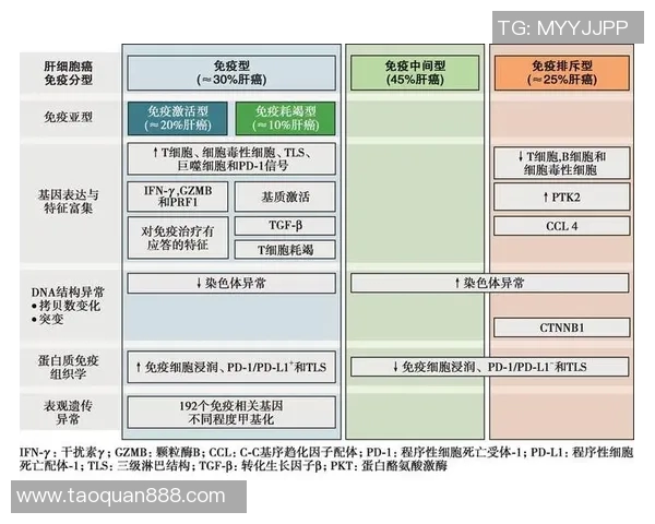 TE力克TYL的竞争策略分析与市场前景展望 TE力克TYL的竞争策略分析与市场前景展望