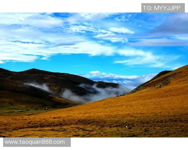 向鱼而行的心灵旅程探索人与自然的和谐共生之道